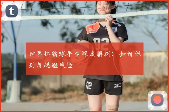 世界杯赌球平台深度解析:如何识别与规避风险