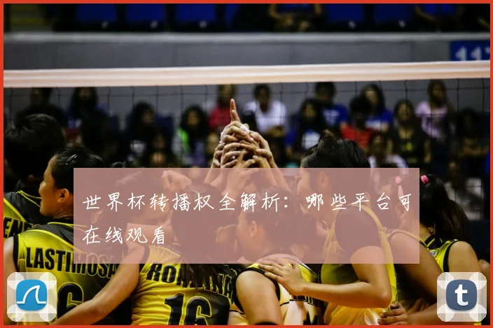 世界杯转播权全解析:哪些平台可在线观看