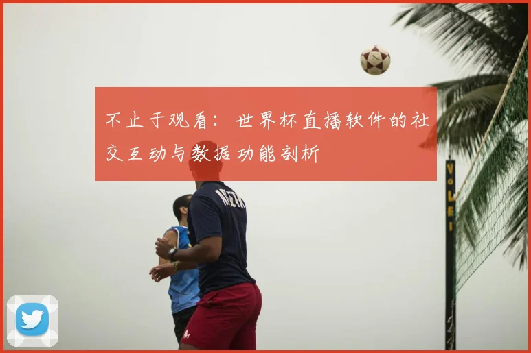 不止于观看:世界杯直播软件的社交互动与数据功能剖析