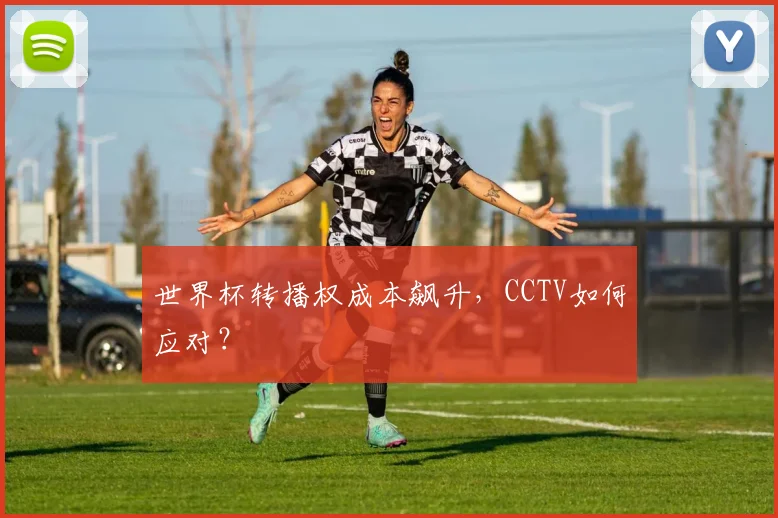 世界杯转播权成本飙升，CCTV如何应对？