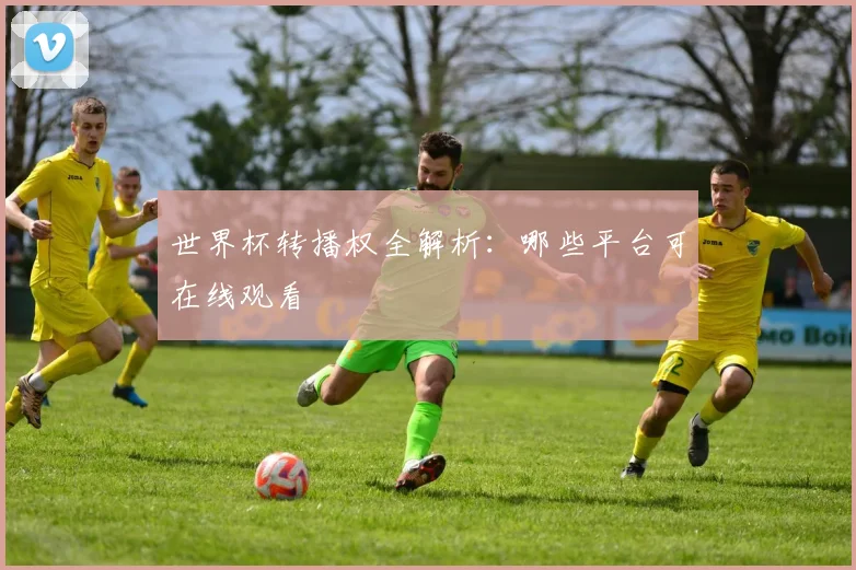 世界杯转播权全解析:哪些平台可在线观看