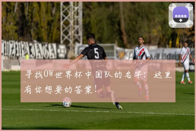 寻找OW世界杯中国队的名字：这里有你想要的答案！