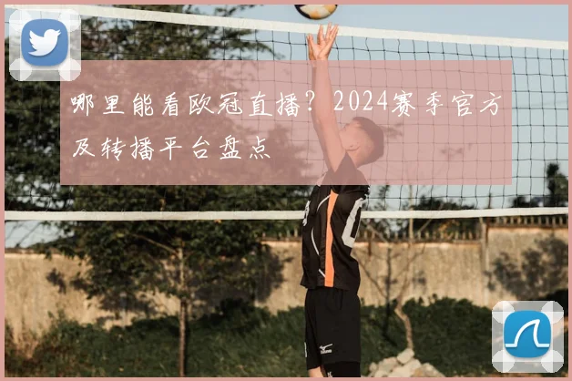 哪里能看欧冠直播？2024赛季官方及转播平台盘点