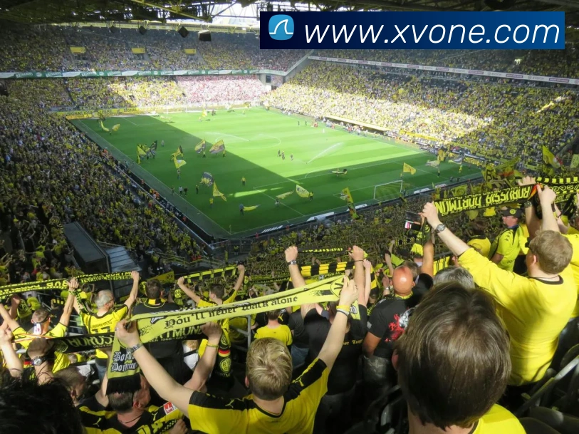 ueb体育在线登录入口APP 封面图